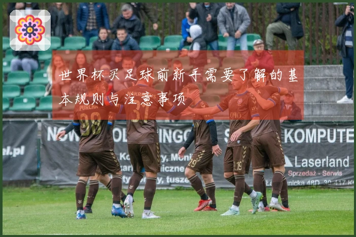世界杯买足球前新手需要了解的基本规则与注意事项