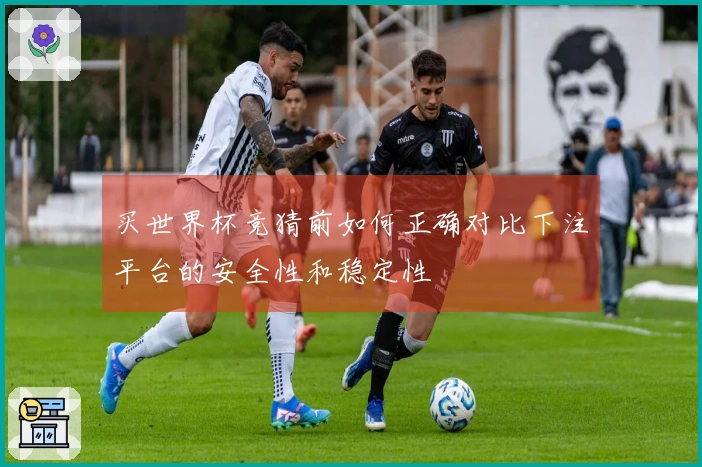 买世界杯竞猜前如何正确对比下注平台的安全性和稳定性
