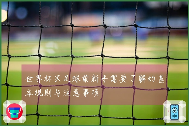 世界杯买足球前新手需要了解的基本规则与注意事项