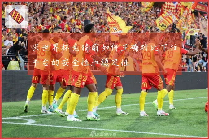 买世界杯竞猜前如何正确对比下注平台的安全性和稳定性